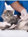 servicios veterinarios vacunas en Orihuela y Bigastro