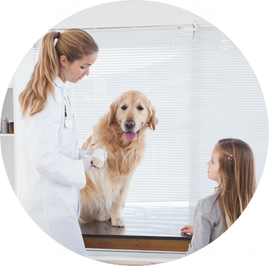 cliente-feliz-consulta-veterinaria-medicina-general-urgencias-canino-felino-roedor
