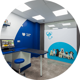 centros veterinarios mascotas clinic orihuela obispo rocamora