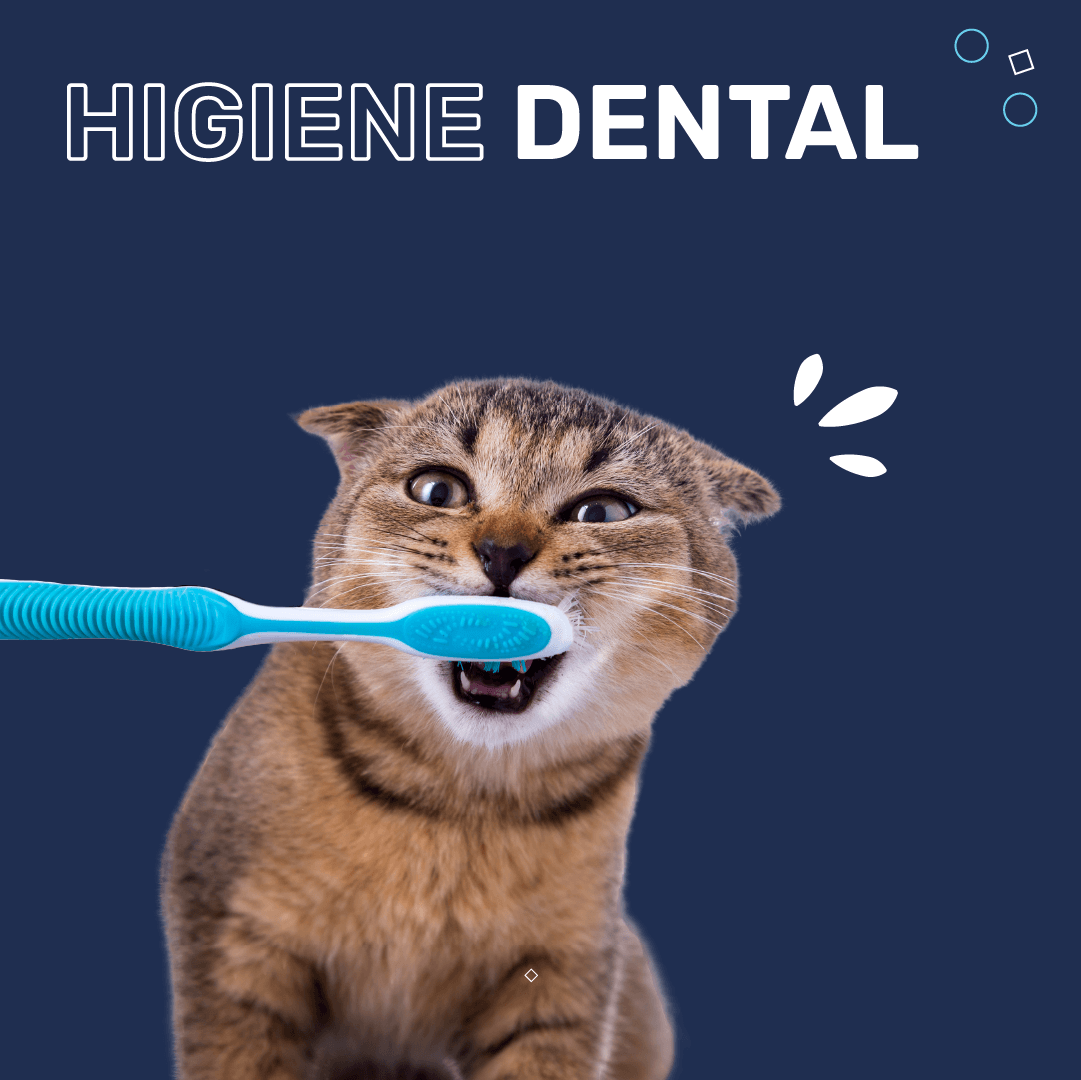 higiene dental mascotas clinic