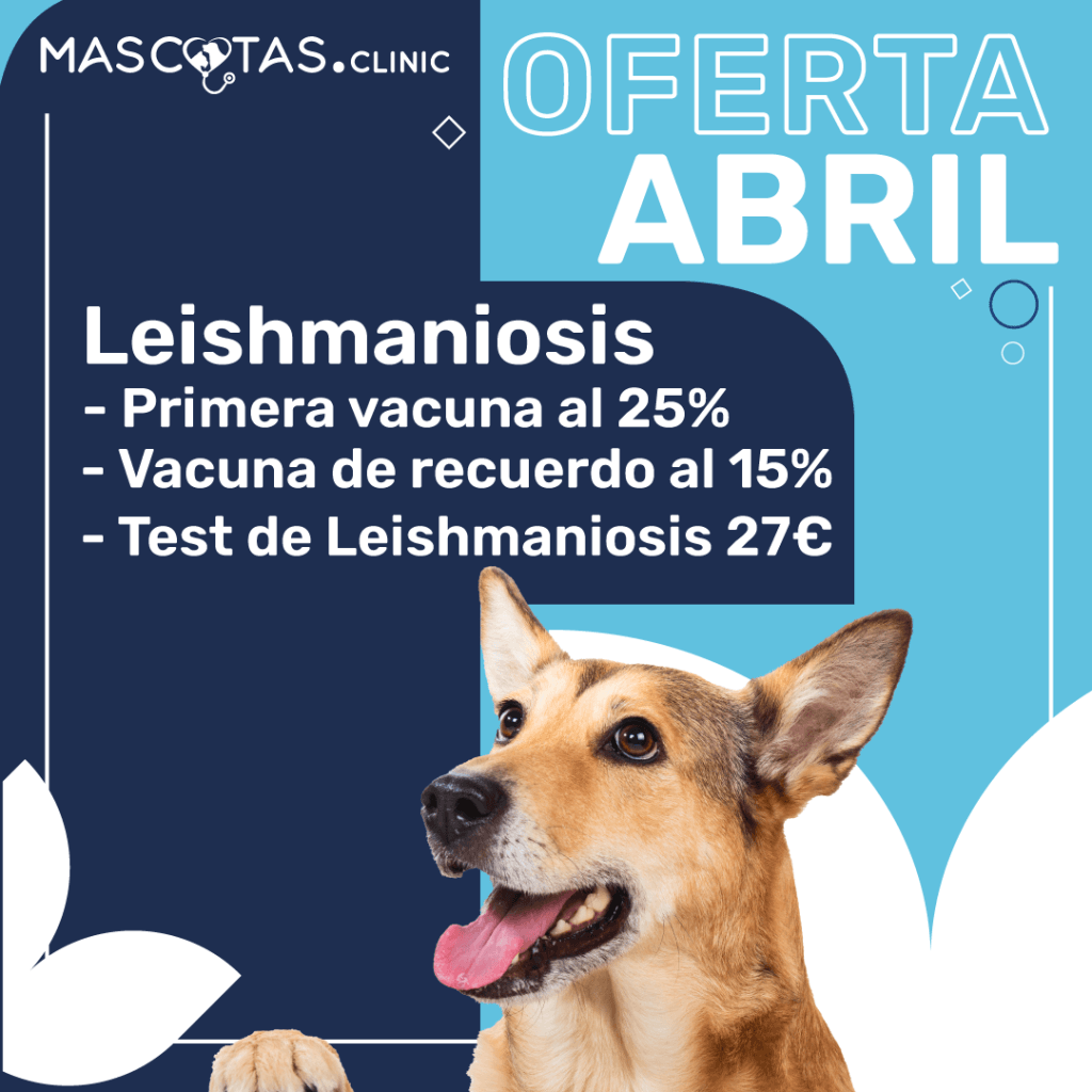 Leishmaniosis vacuna mascotas clinic