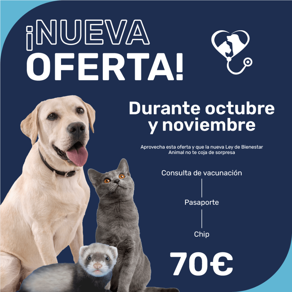 Oferta Octubre y Noviembre en mascotas.clinic