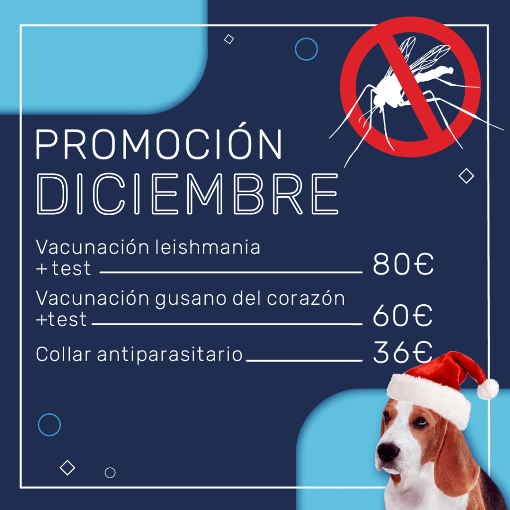 promoción diciembre 2023 mascotas clinic vacuna collar