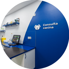 Consulta para perros en nuestros centros veterinarios en Orihuela y Bigastro - Mascotas Clinic.