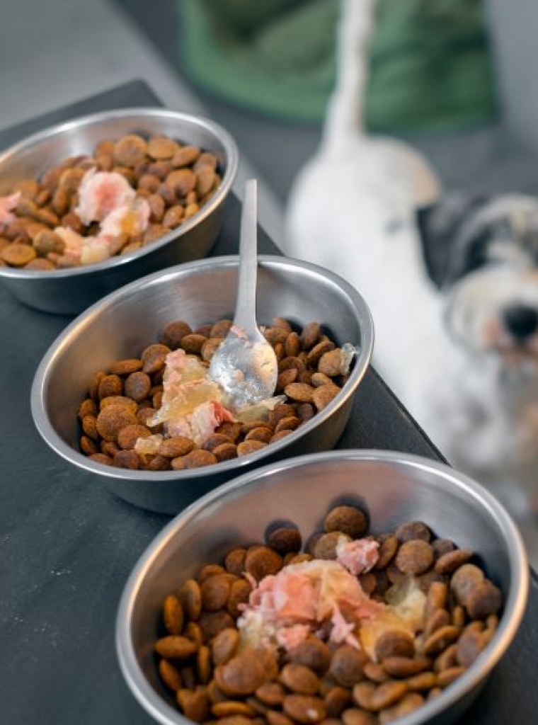 Tienda de nutrición especializada en nuestros centros veterinarios en Orihuela y Bigastro.