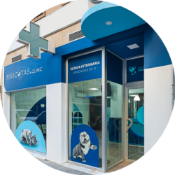 mascotas clinic centros veterinarios en orihuela